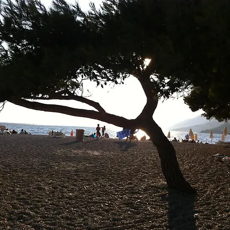 Διαμέρισμα Desa